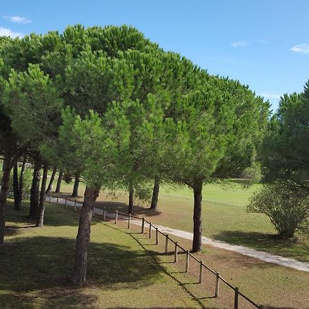 Vert Paradis - Vue Apaisante Sur Golf, Pins Parasols, 2E Etage - 80 M2 Dont Terrasse Avec Pergola, 2 Chambres, 3Et Iles, 3 Clim, Wifi - Piscine, Parking Et Park A Velos, Ascenseur - En Option Linge, Menage - Pistes Cyclables, Mer A Proximite 생시프리앙 외부 사진